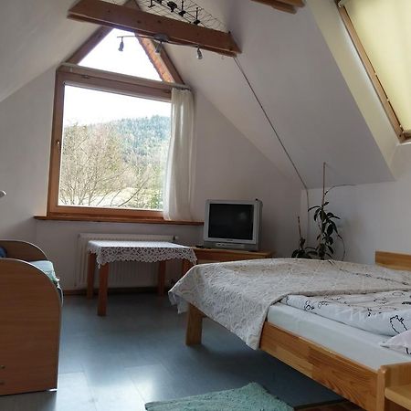 Apartamencik Z Widokiem Na Giewont Закопане Экстерьер фото