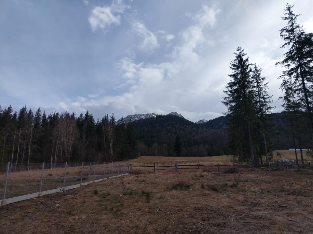 Apartamencik Z Widokiem Na Giewont Закопане Экстерьер фото
