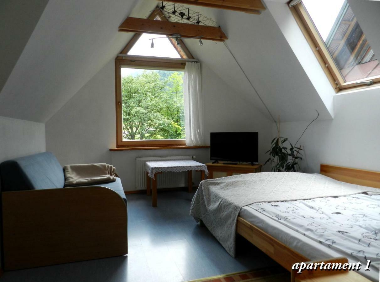 Apartamencik Z Widokiem Na Giewont Закопане Экстерьер фото
