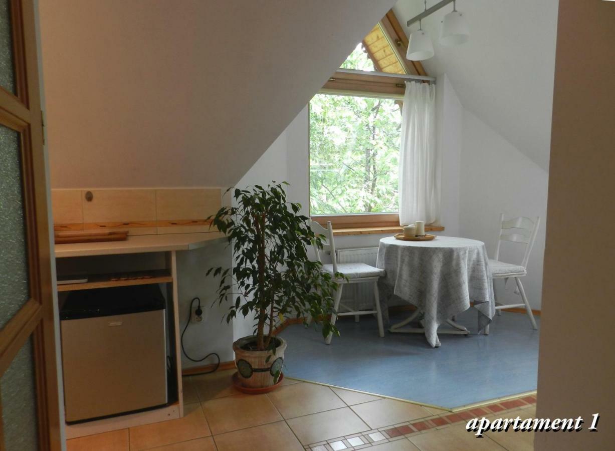 Apartamencik Z Widokiem Na Giewont Закопане Экстерьер фото