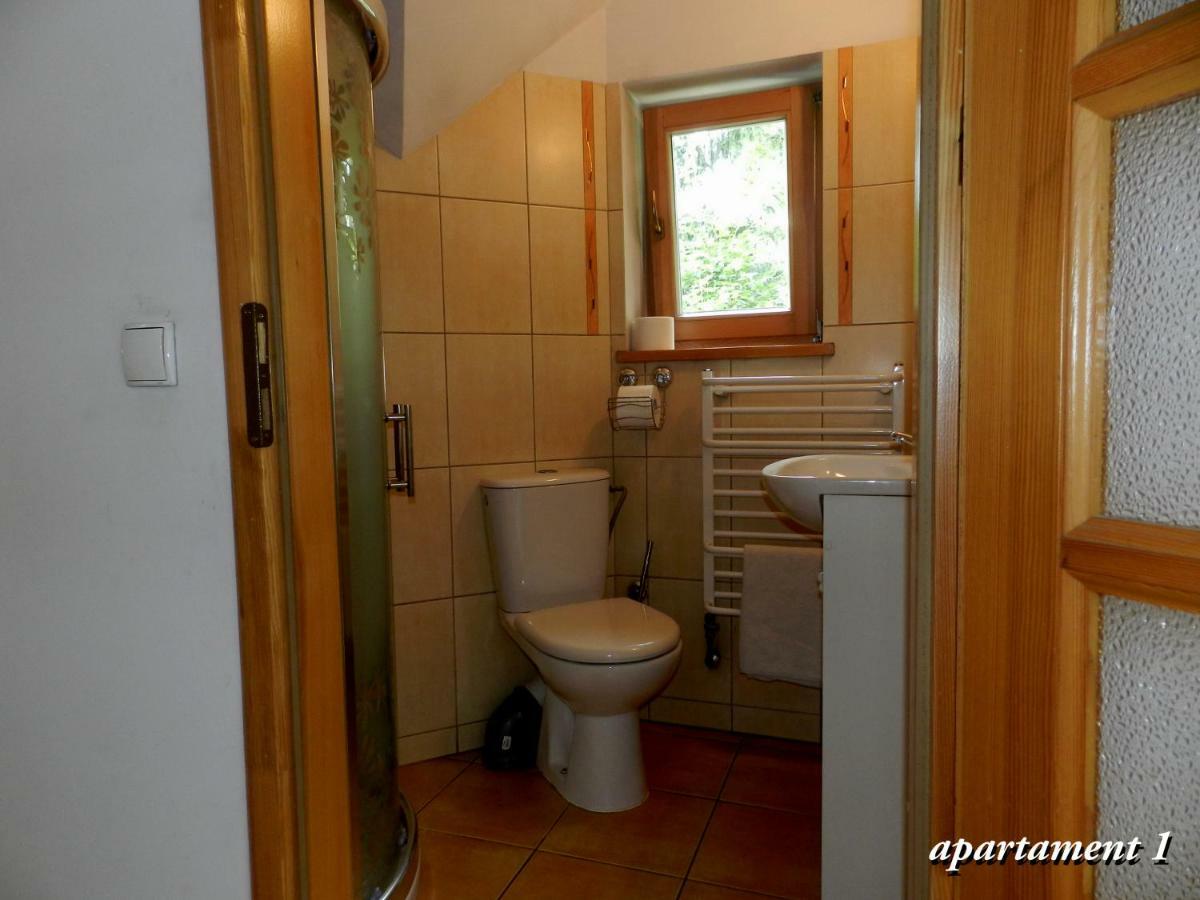 Apartamencik Z Widokiem Na Giewont Закопане Экстерьер фото